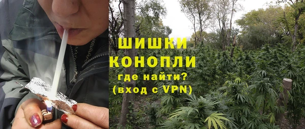 apvp Арсеньев