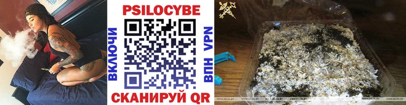 купить наркотики сайты  Чухлома  Псилоцибиновые грибы Psilocybine cubensis 